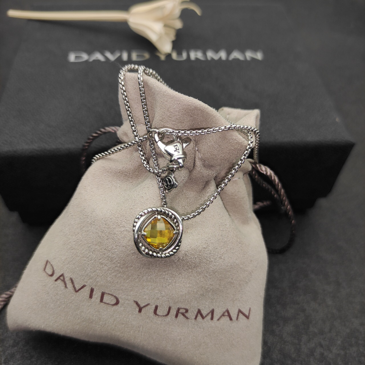 Petite Chatelaine® Necklace Sterling Silver with Citrine, 10mm