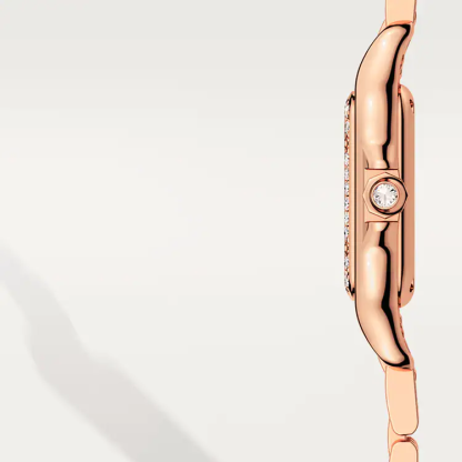 PANTH??RE DE CARTIER WATCH