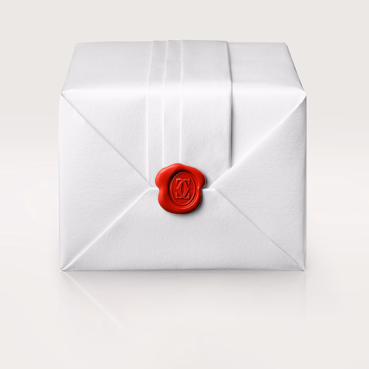 SANTOS DE  WATCH LARGE MODEL