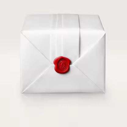 SANTOS DE  WATCH LARGE MODEL