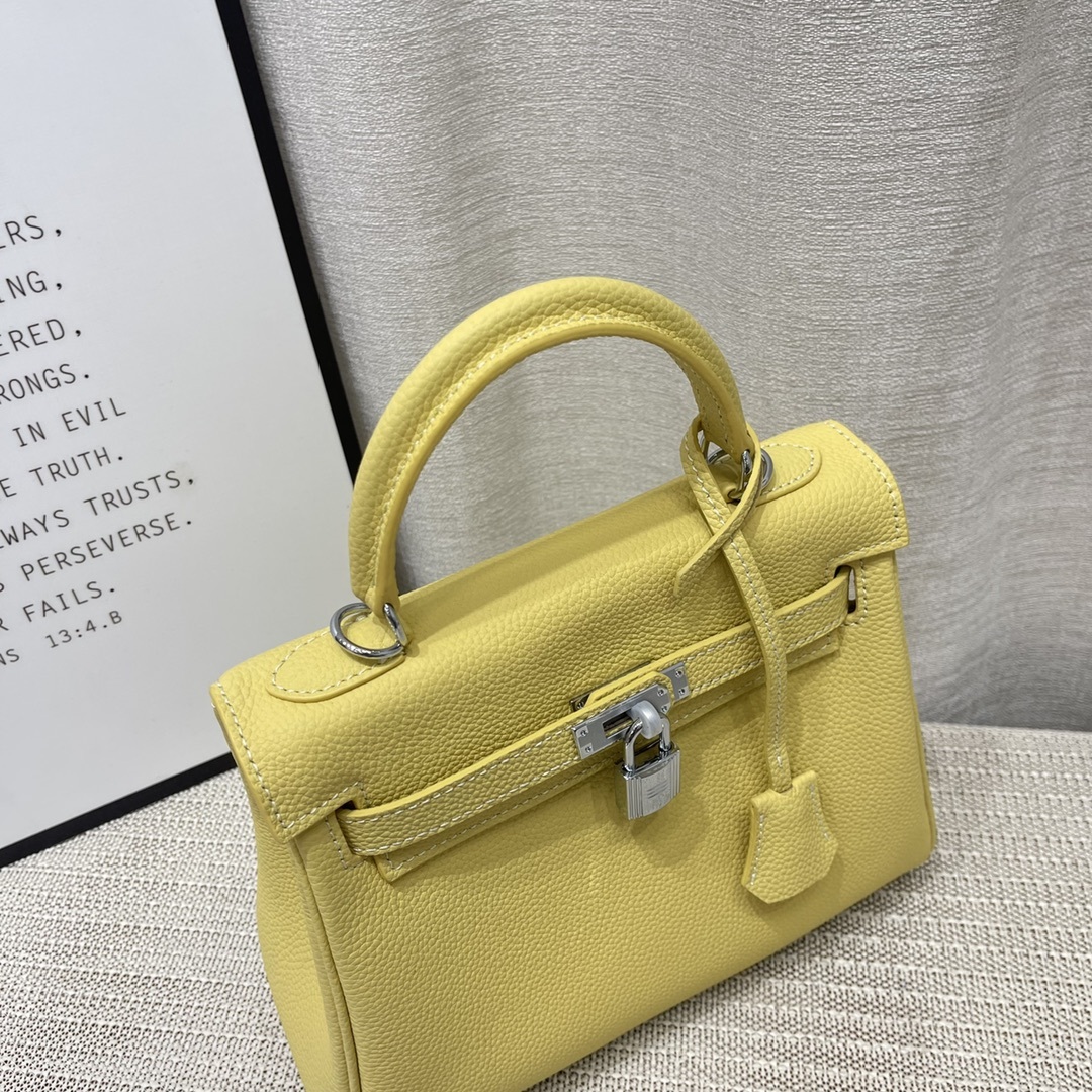 Herthtmes Togo Birkin 20/25 Bottle Yellow Bag