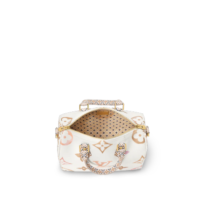 Speedy Bandouliere 25 M22987