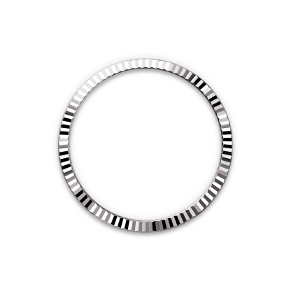 Oyster, 36 mm, Oystersteel and white gold  Reference 126234