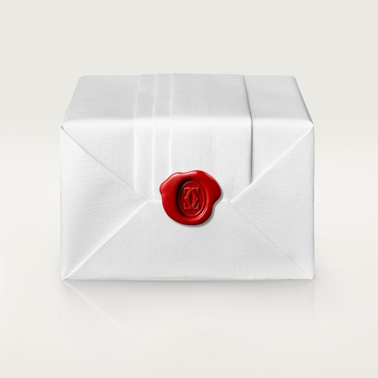 PANTHÈRE DE NECKLACE