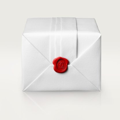 SANTOS DE WATCH MEDIUM MODEL  FOR WOMEN