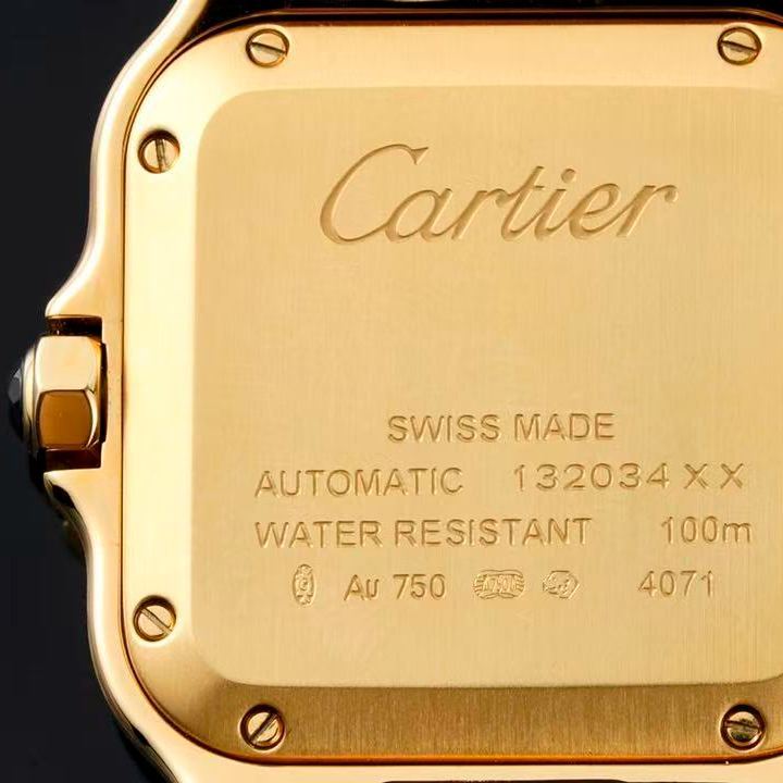 SANTOS DE CARthtTIER WJSA0010 WATCH