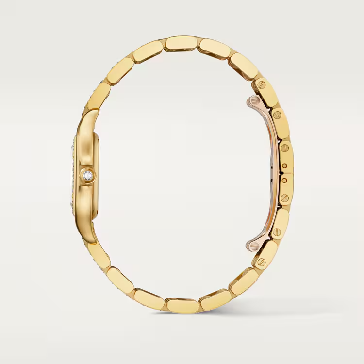 Panthère De Carthttier Watch