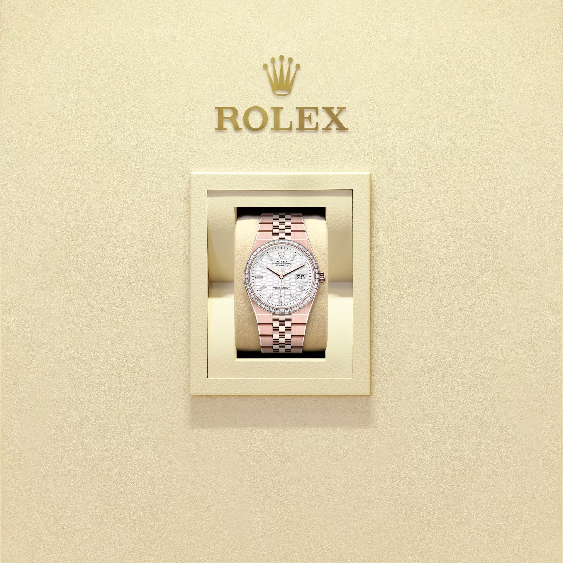 Land-Dweller 36  Oyster, 36 mm, Everose gold and diamonds  Reference m127285tbr-0002