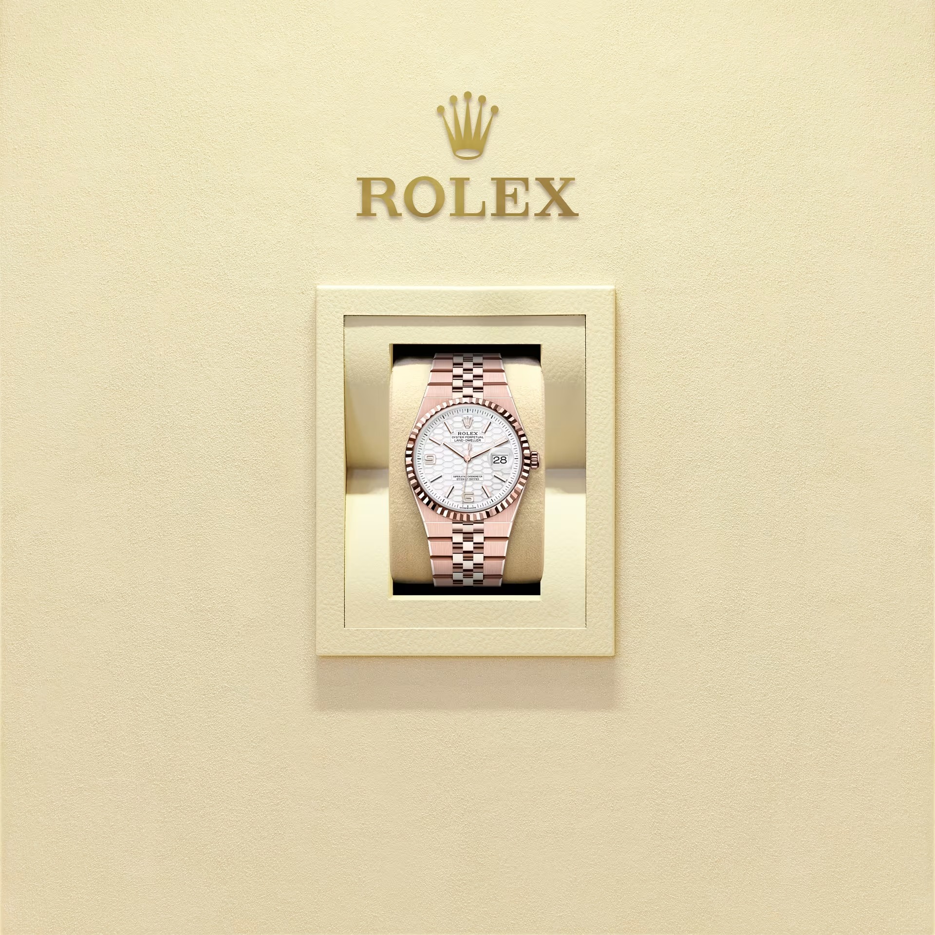 Land-Dweller 36  Oyster, 36 mm, Everose gold  Reference m127235-0001