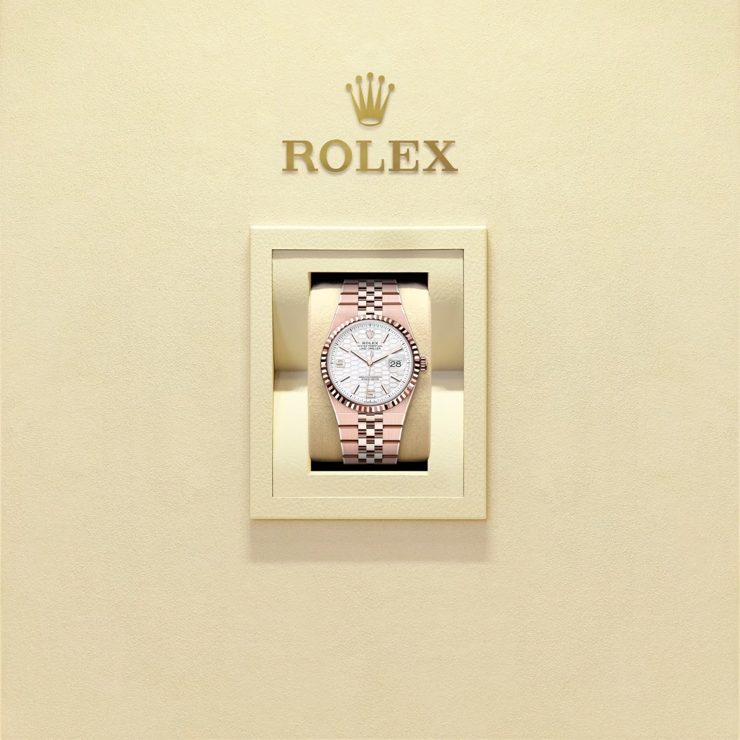 Land-Dweller 36  Oyster, 36 mm, Everose gold  Reference m127235-0001