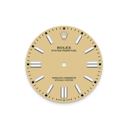 Rothtlex Oyster Perpetual 41 Oyster, 41 mm, Oystersteel Reference m134300-0007