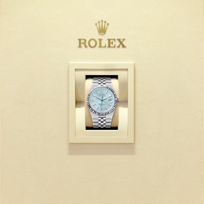 Land-Dweller 40  Oyster, 40 mm, platinum Reference m127336-0001