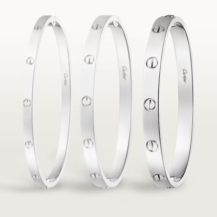 LOVE BRACELET, CLASSIC MODEL & SKY-DWELLER OYSTER, 42 mm