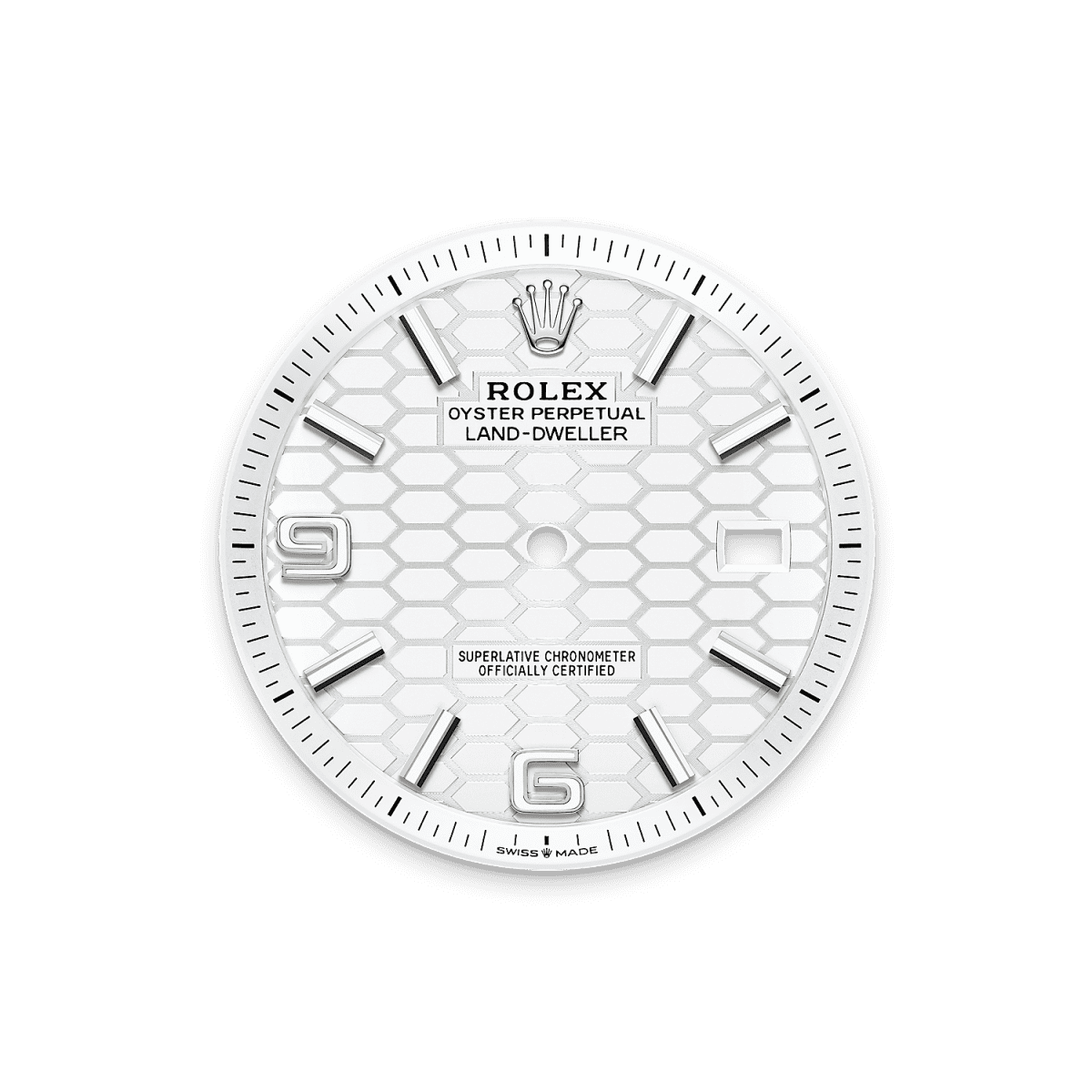 Land-Dweller 40 Oyster, 40 mm, Oystersteel and white gold Reference m127334-0001