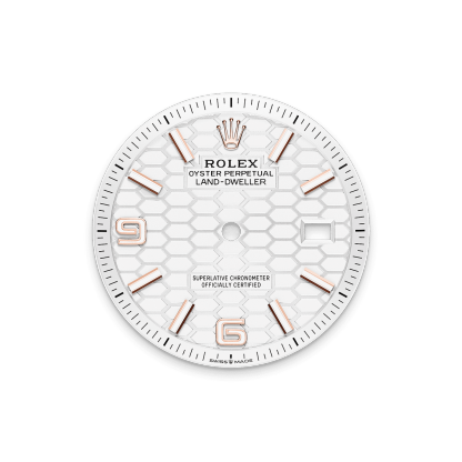 Land-Dweller 36  Oyster, 36 mm, Everose gold  Reference m127235-0001