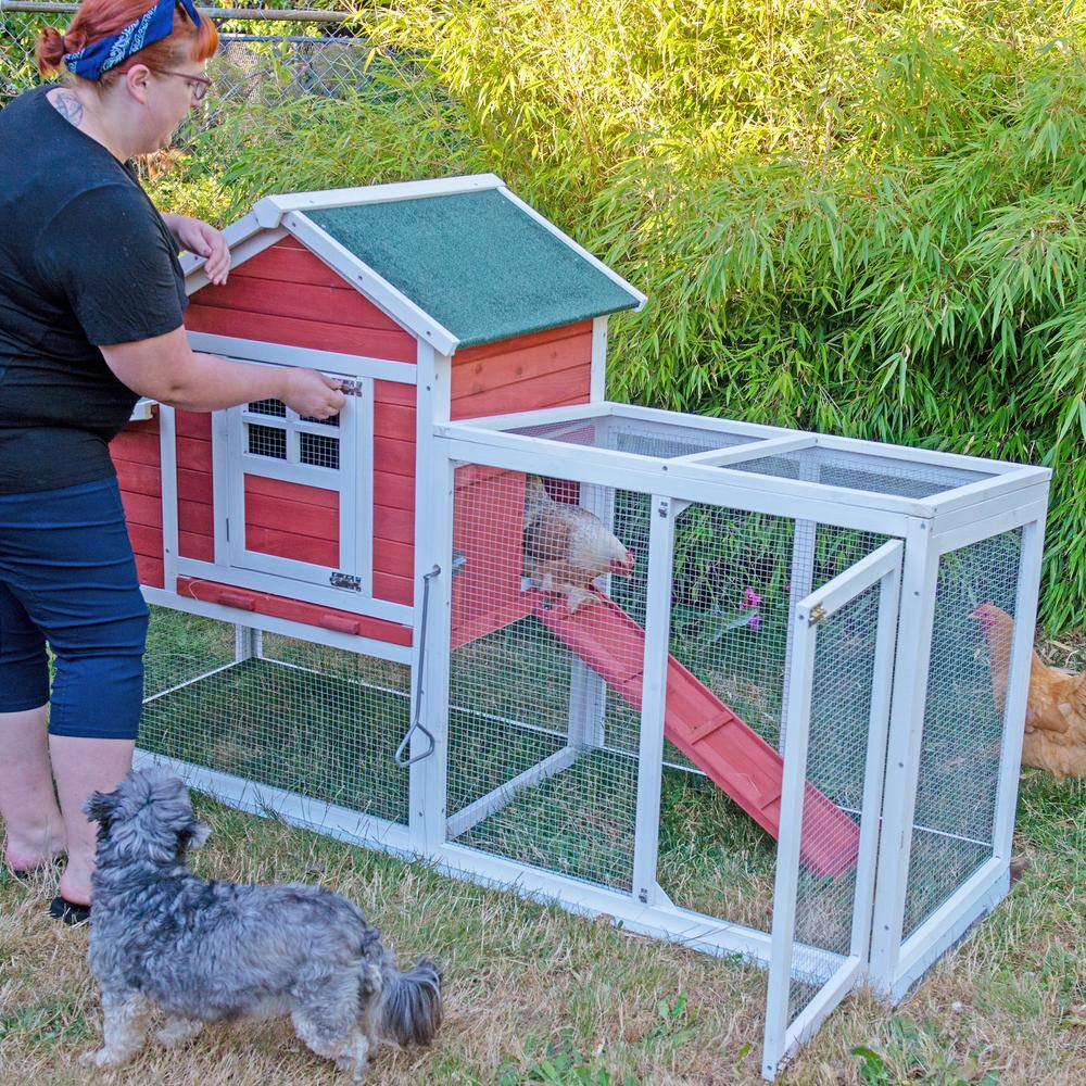 Animal House Large 74 in. Modular Chicken Coop Poultry and Hen House with Solid Top Shaded RunYard