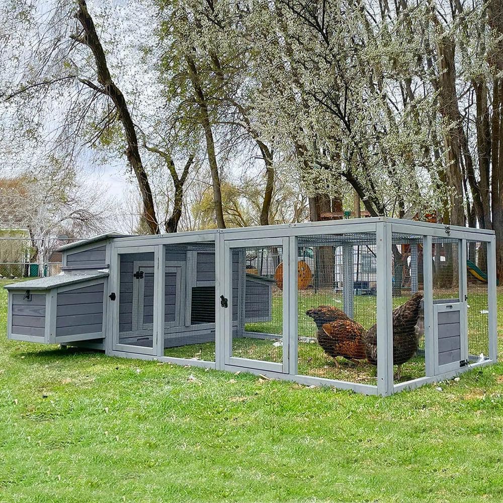 Large Hen House with Run for 4-6 Chickens