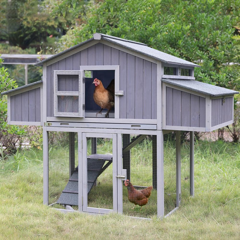 54.6 in. H x69.8 in.W x 42 in.D Chicken Coop Fir Wood Foldable Chicken Coop for 3-4 Chickens with Fast Assembly Design
