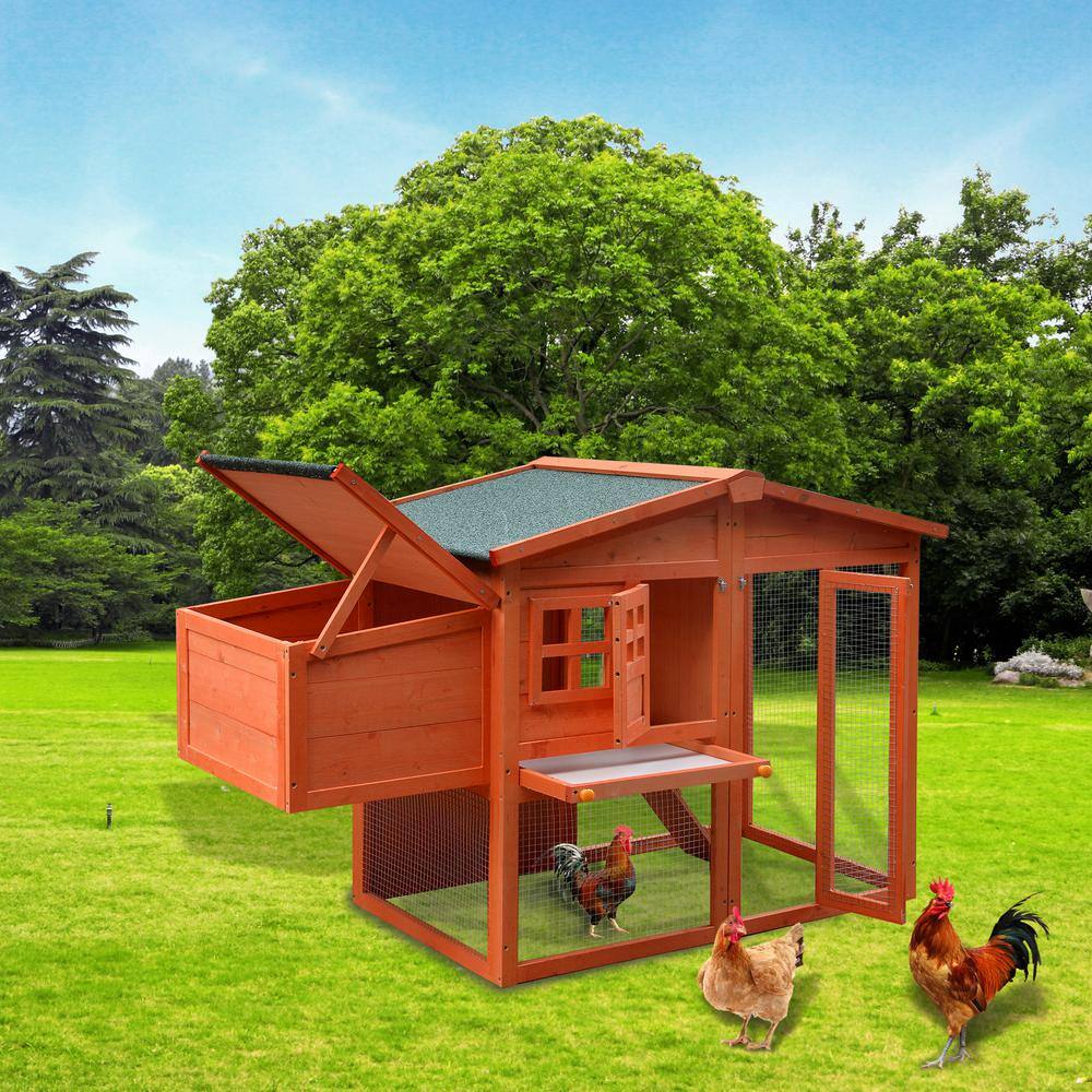 56.2 in. W Chicken Coop Waterproof Outdoor Large Chicken House for 4 C
