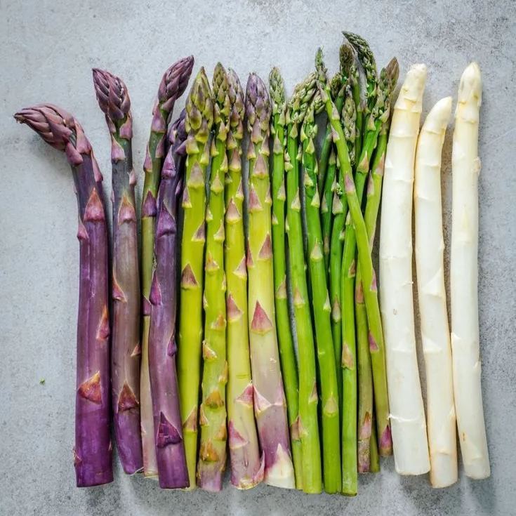 FOUR SEASONS ASPARAGUS MARY WASHINGTON SEEDS