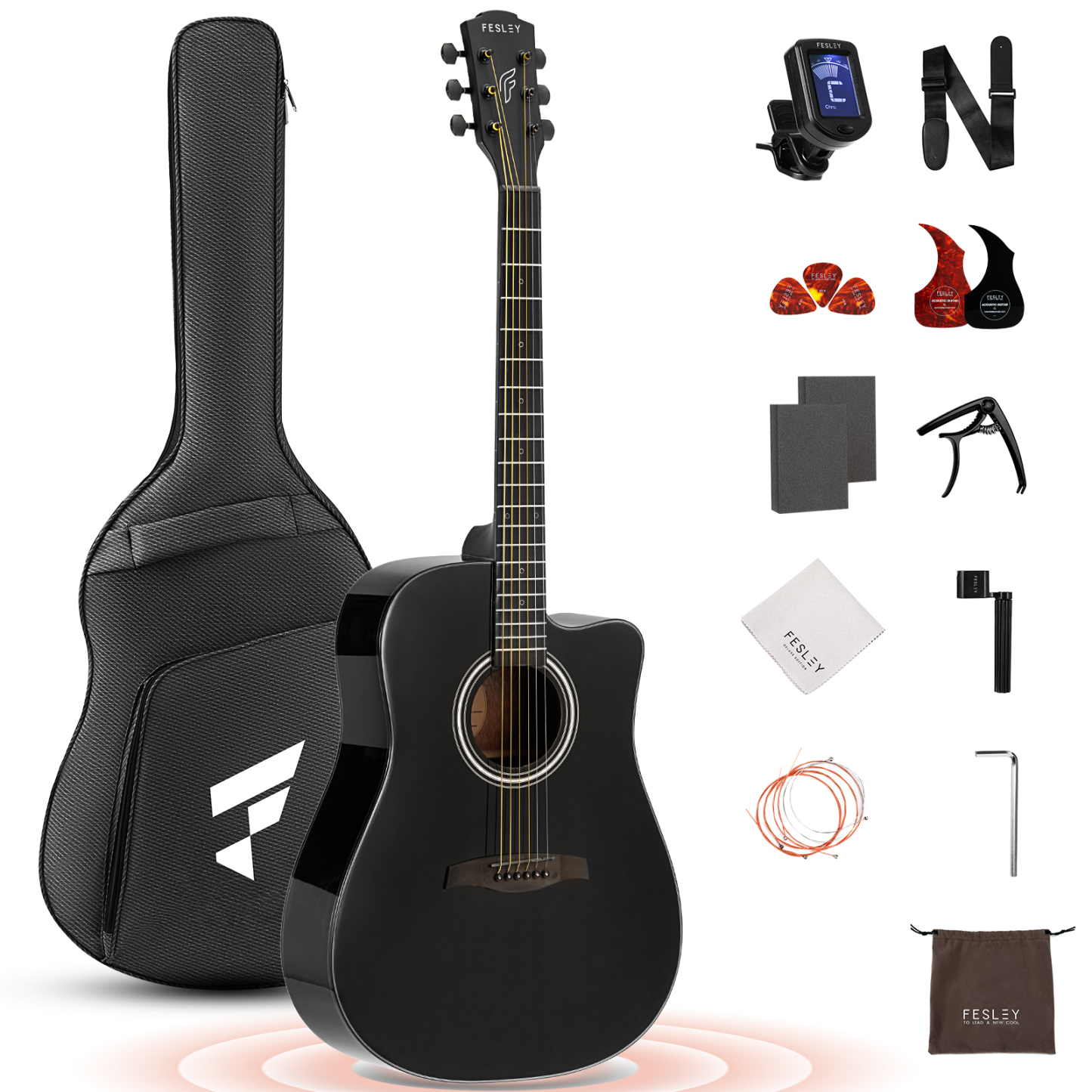 Fesley FD60 Acoustic Guitar Kit