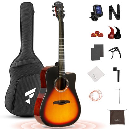 Fesley FD60 Acoustic Guitar Kit