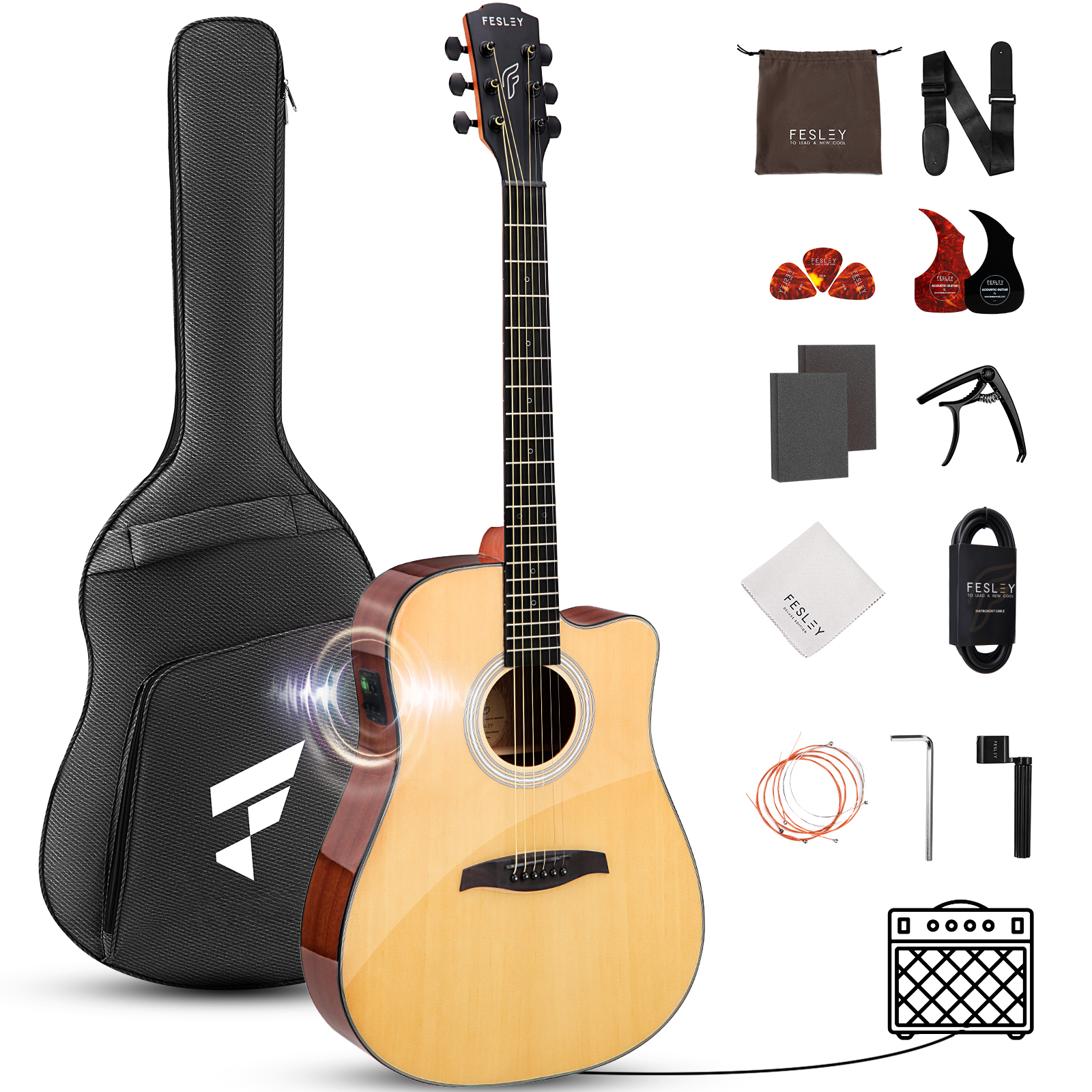 Fesley FD80 Acoustic Electric Guitar Kit