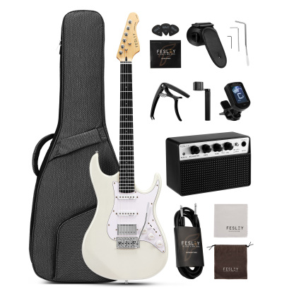 Fesley FST100 39 Inch Electric Guitar