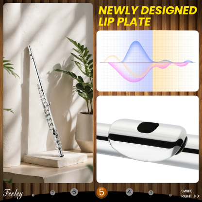 Fesley 16 Keys C Flutes Closed Hole