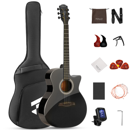 Fesley FF60 Acoustic Guitar Kit