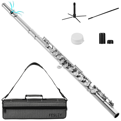 Fesley 16 Keys C Flutes Closed Hole