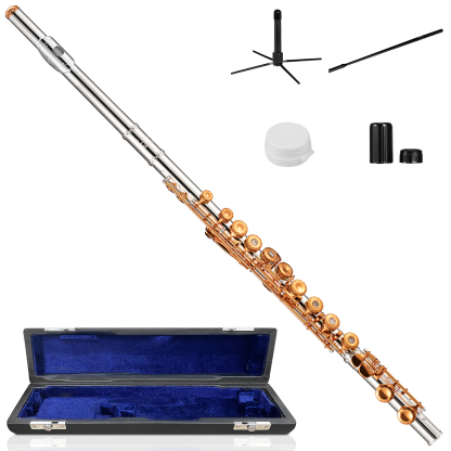 Fesley 16 Keys C Flutes Closed Hole