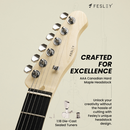 Fesley DIY TC Electric Guitar Kit with Poplar Body
