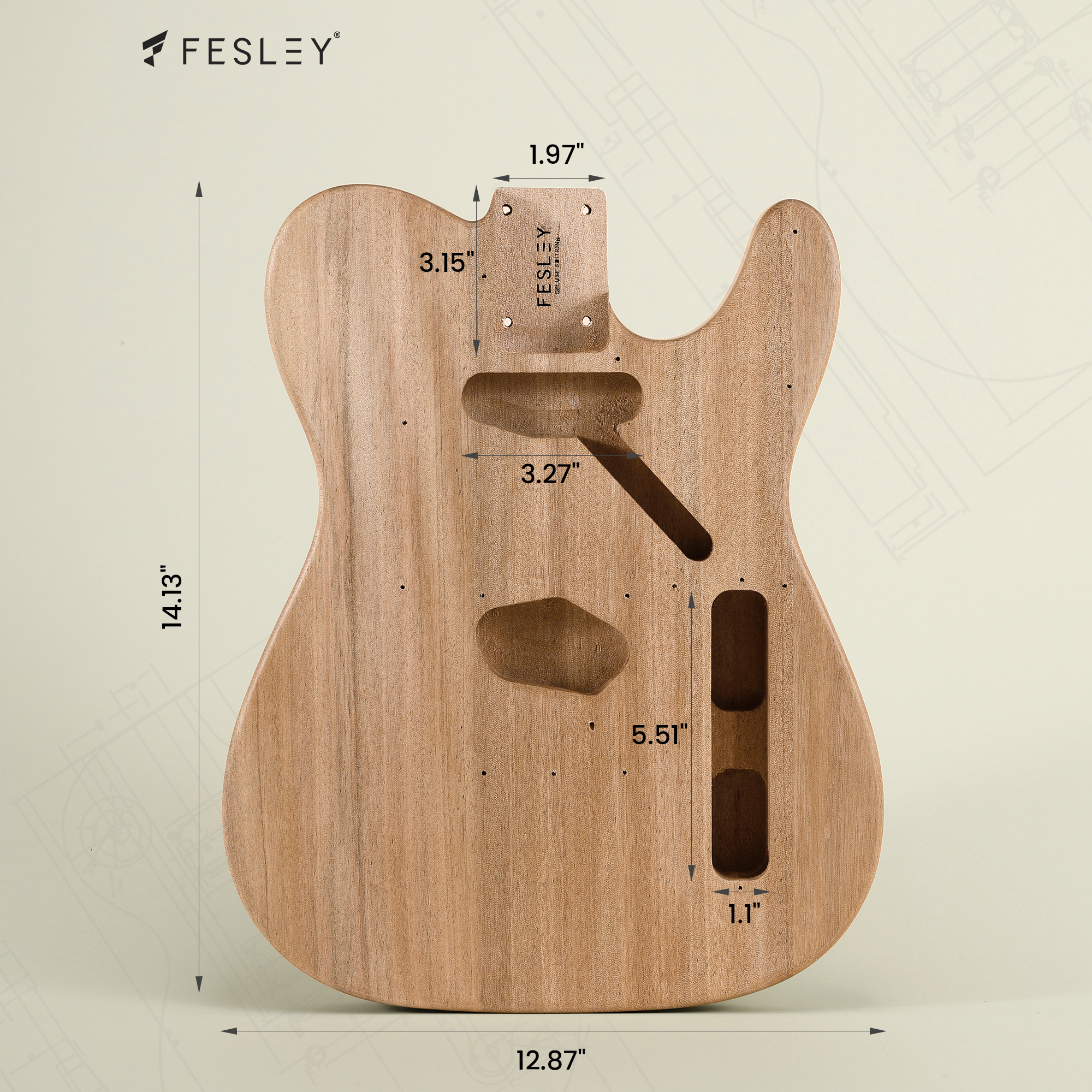Fesley DIY TC Electric Guitar Kit with Poplar Body