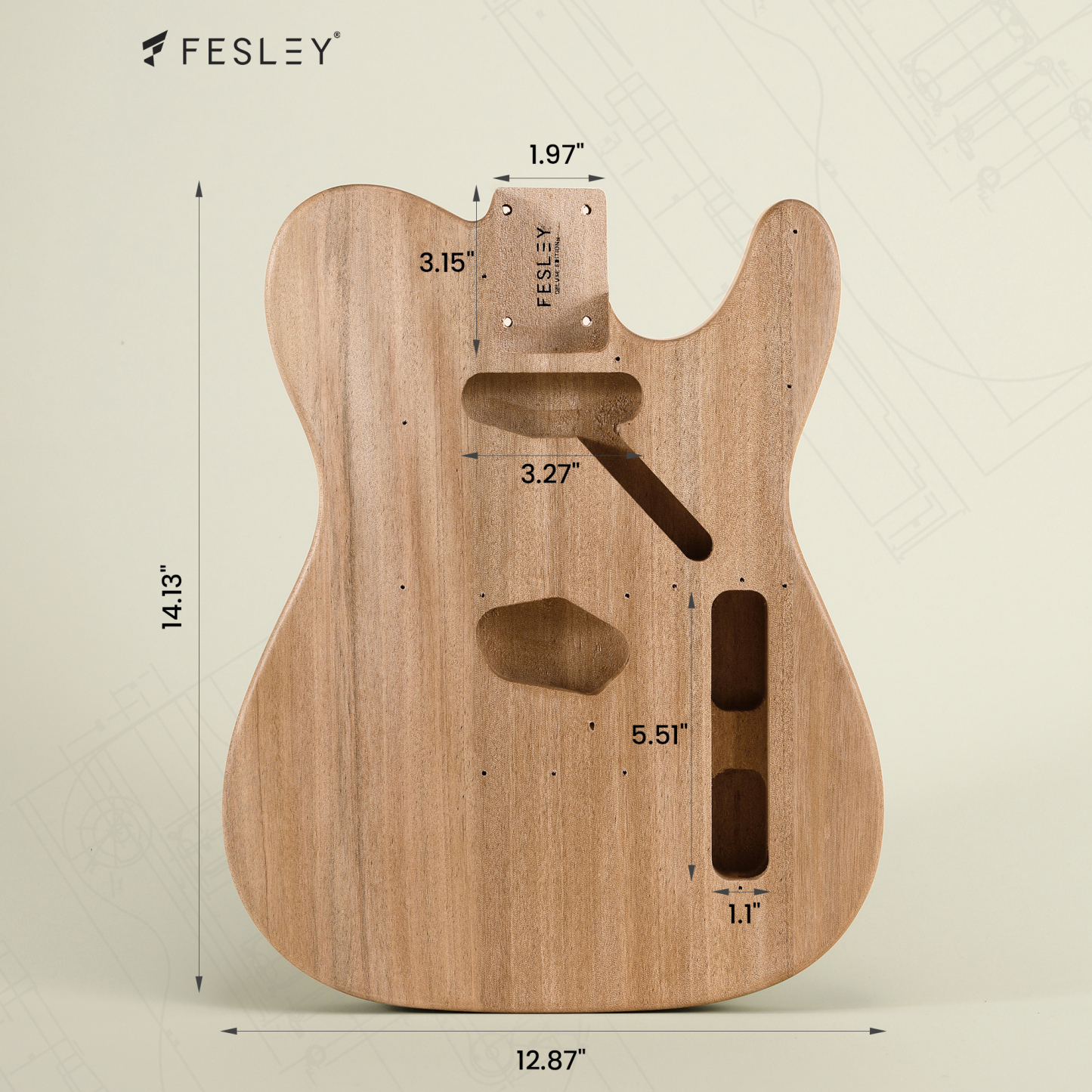Fesley DIY TC Electric Guitar Kit with Poplar Body