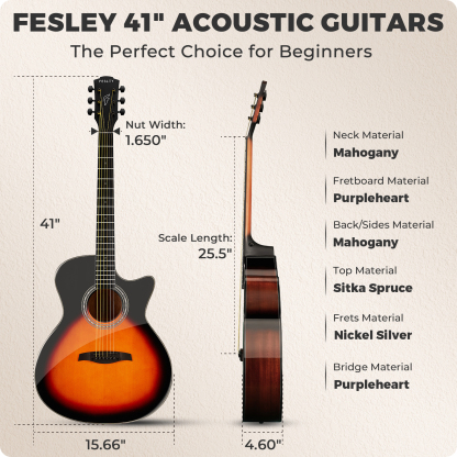 Fesley FF60 Acoustic Guitar Kit
