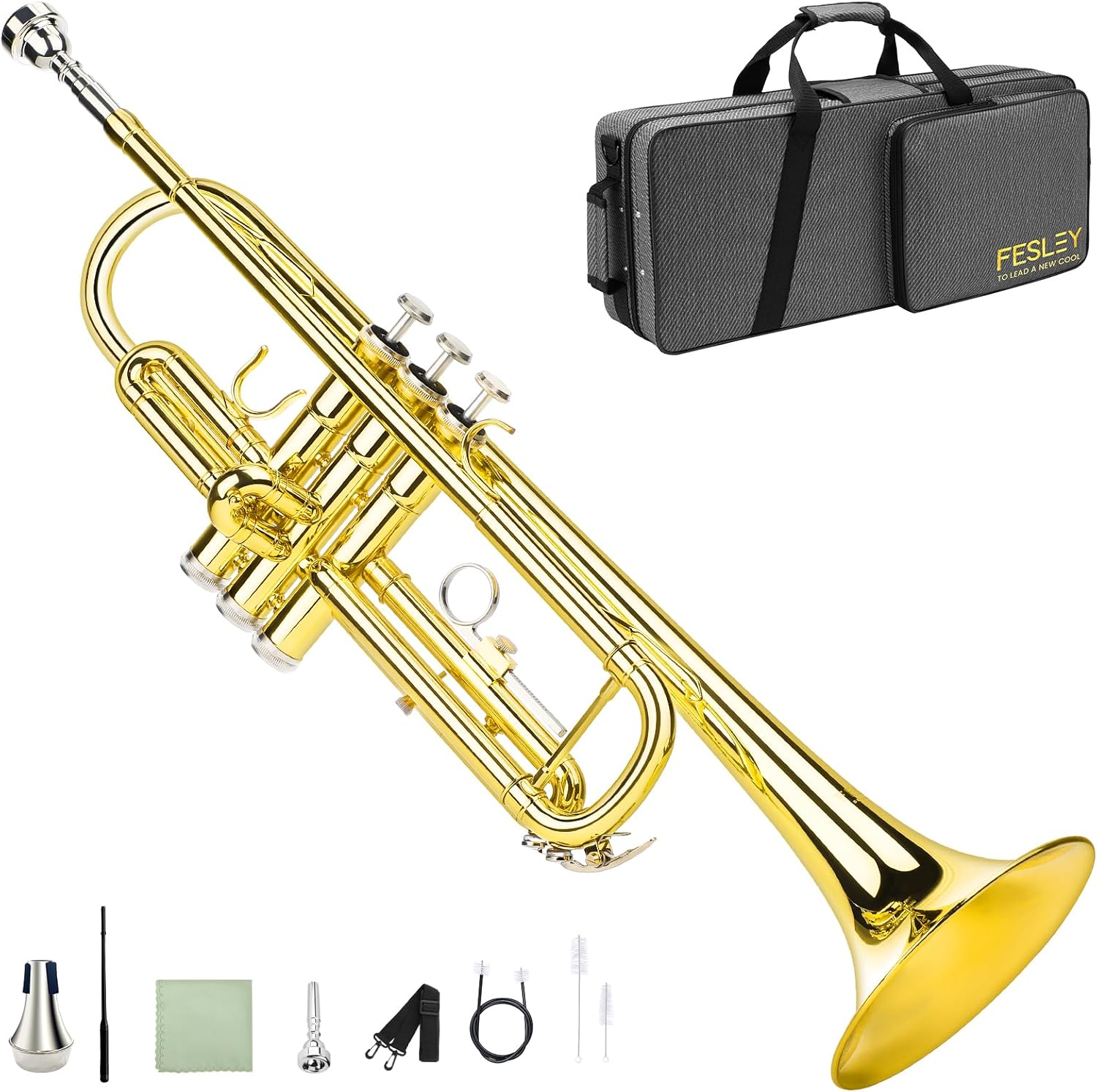 Fesley Bb Standard Trumpet Set