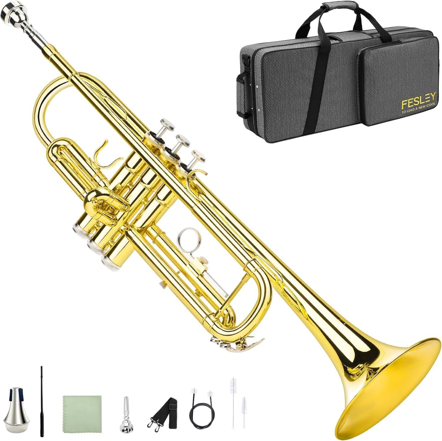 Fesley Bb Standard Trumpet Set