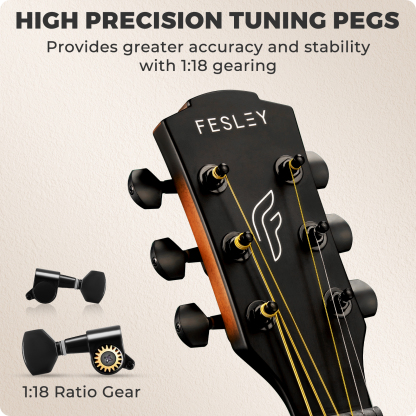 Fesley FF60 Acoustic Guitar Kit
