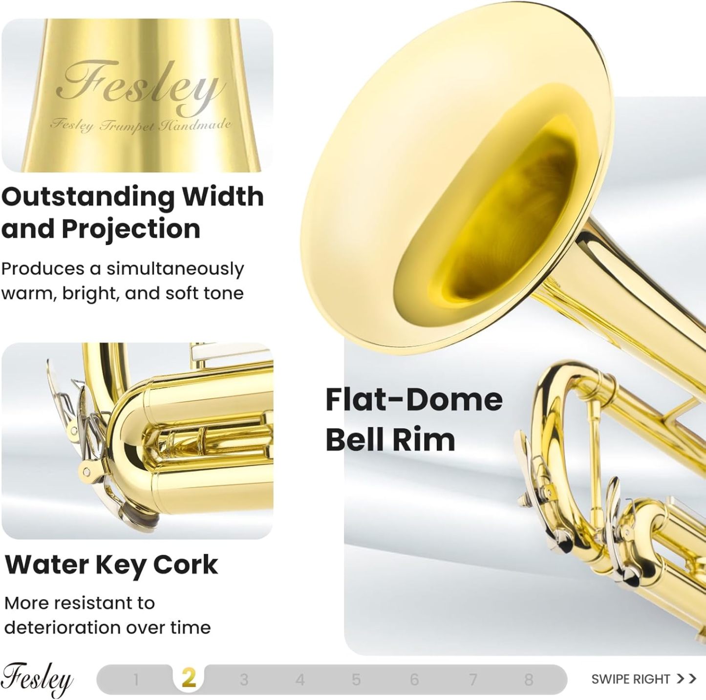 Fesley Bb Standard Trumpet Set