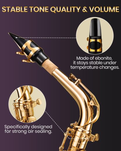 Fesley Saxophone E Flat Alto Saxophone