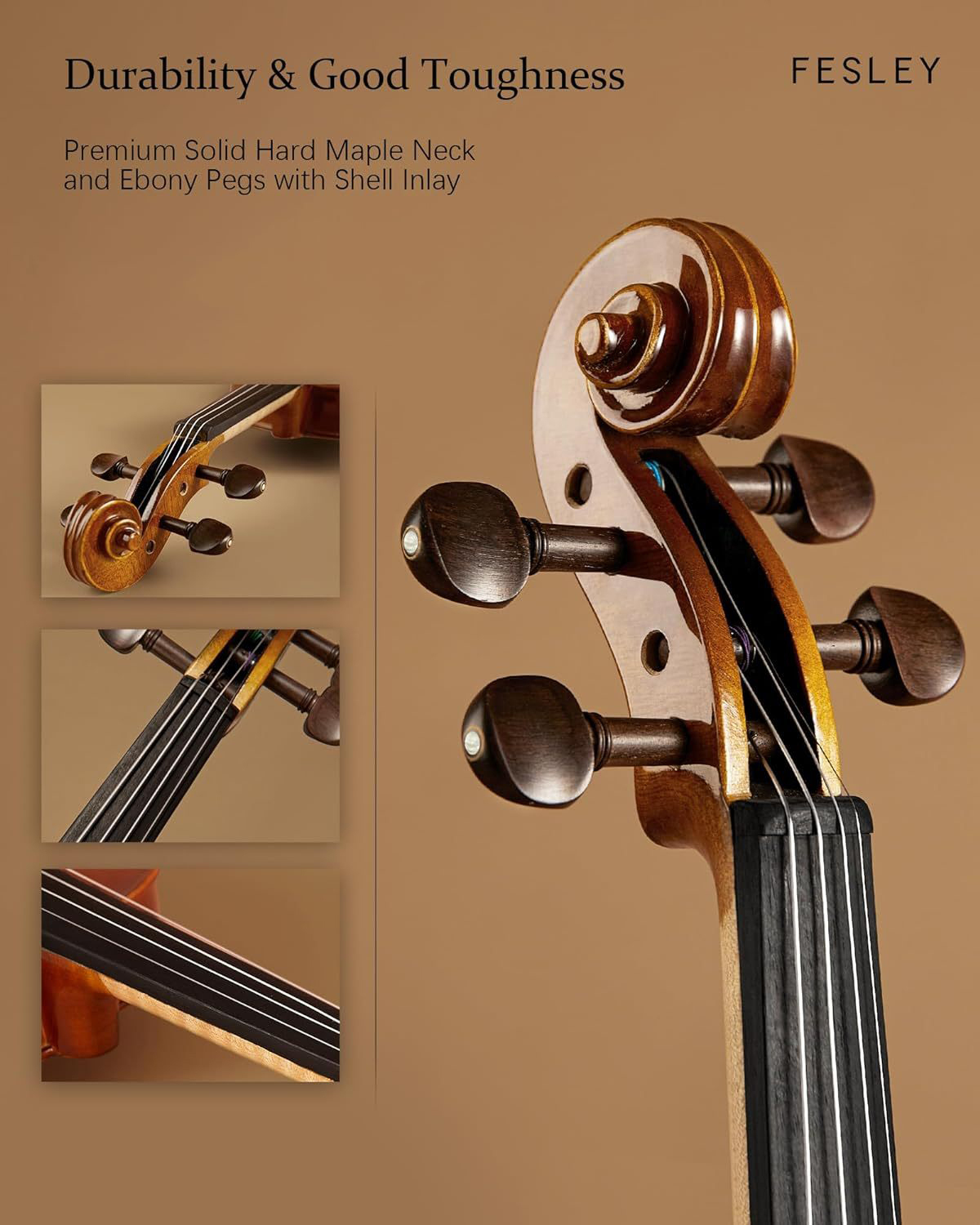 Fesley Violin 4/4 Full Set