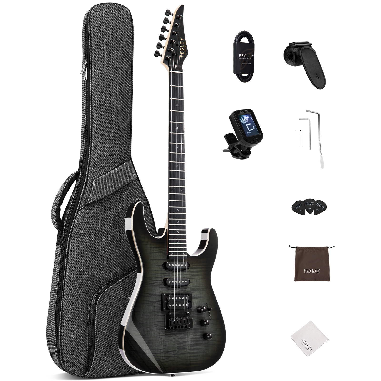 Fesley FDK800 Electric Guitar