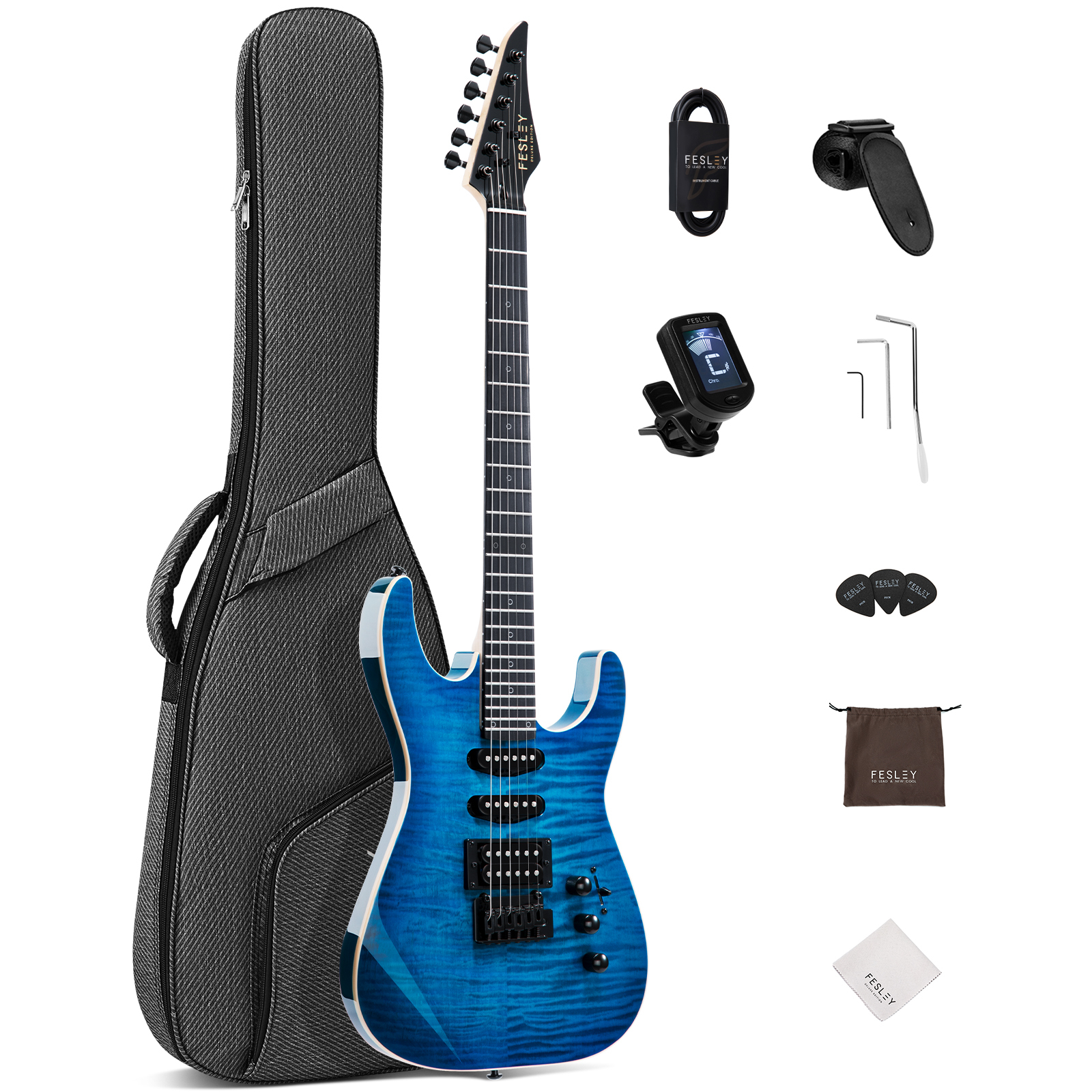 Fesley FDK800 Electric Guitar