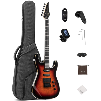 Fesley FDK800 Electric Guitar