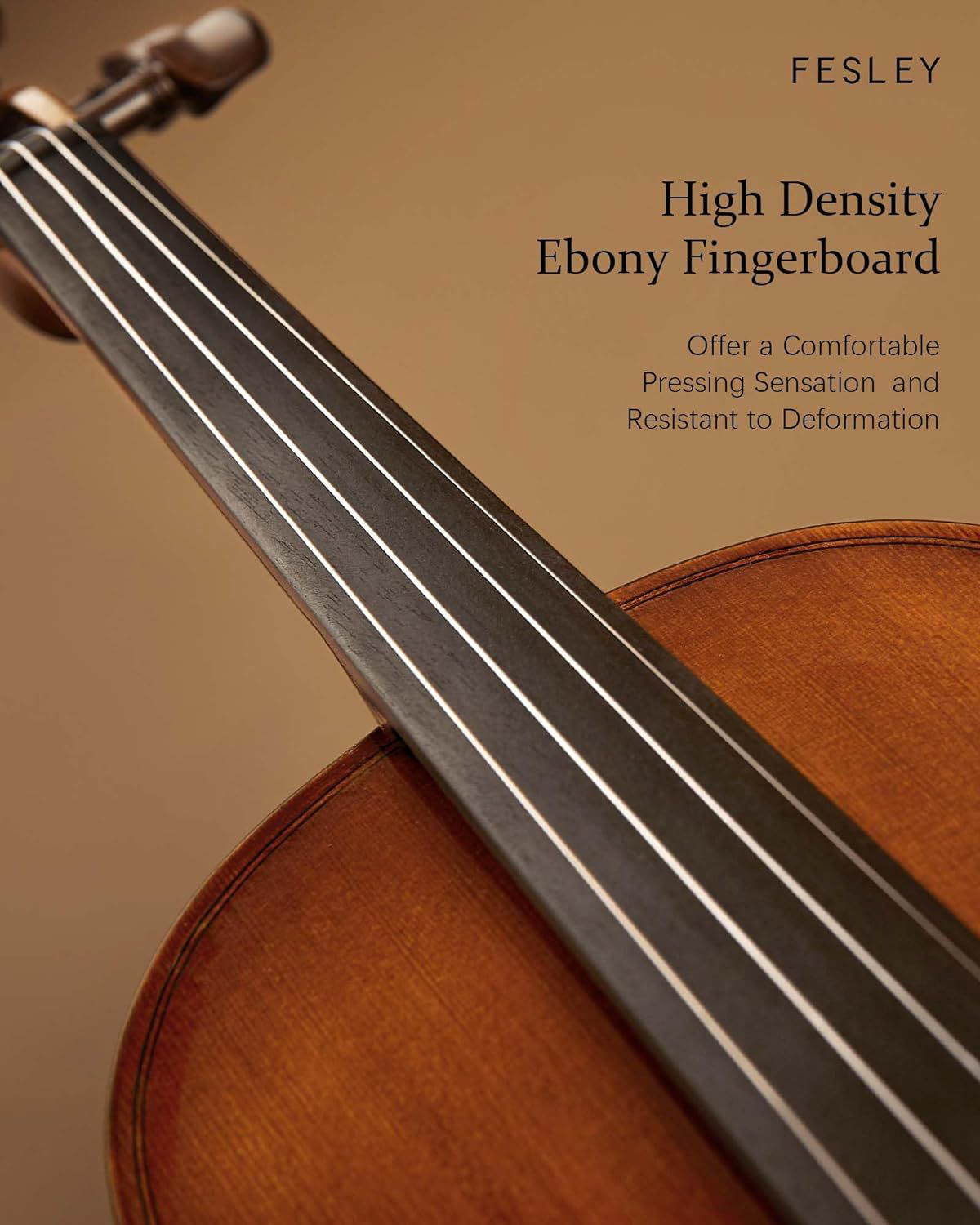 Fesley Violin 4/4 Full Set