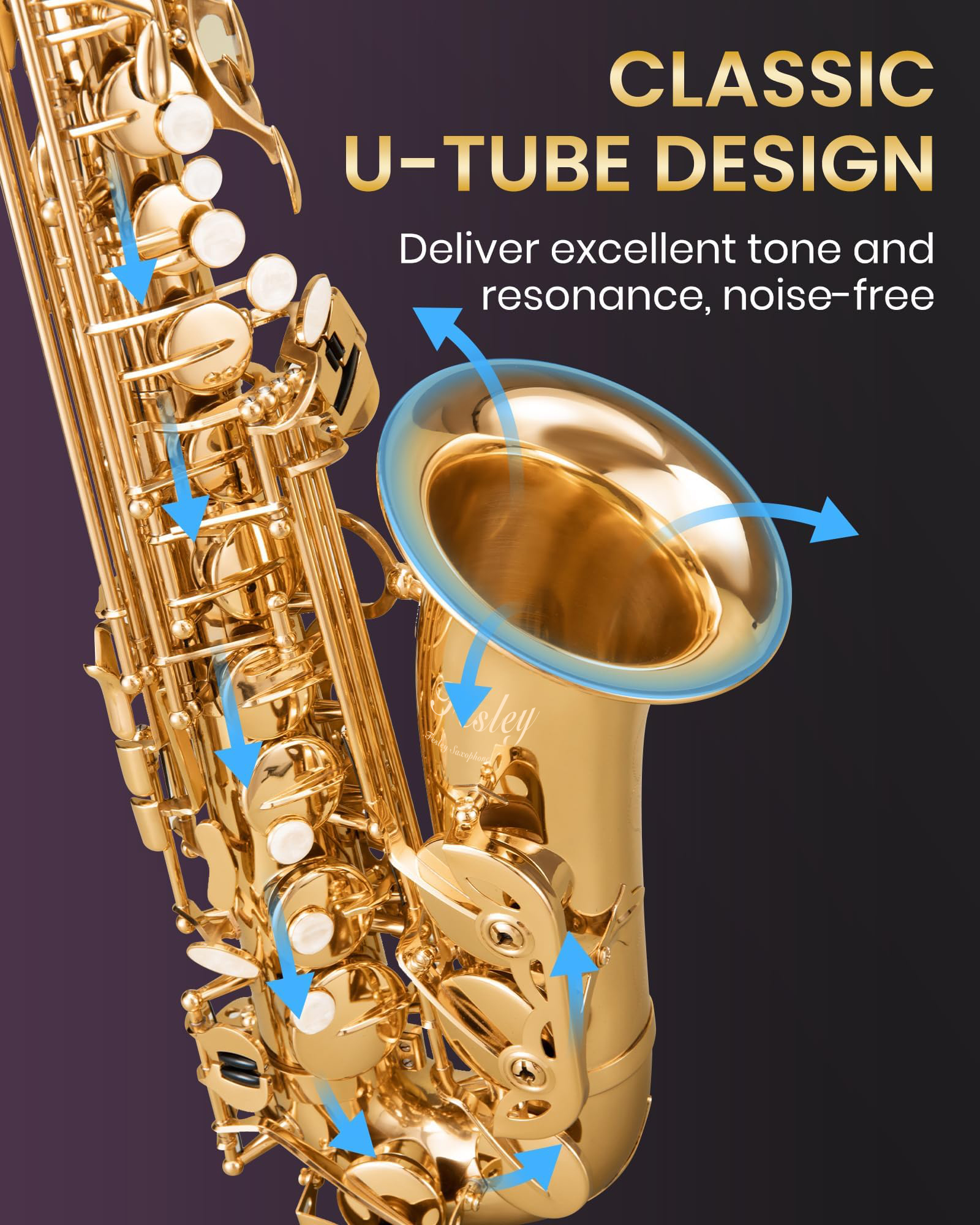 Fesley Saxophone E Flat Alto Saxophone