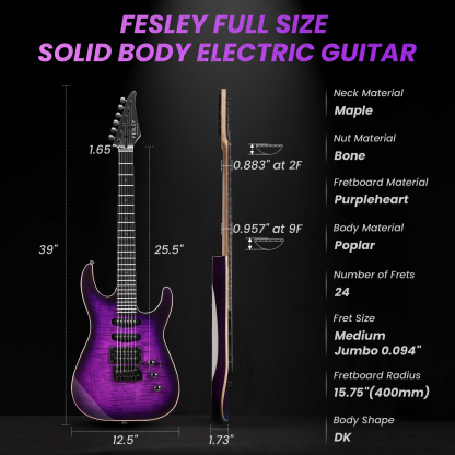 Fesley FDK800 Electric Guitar
