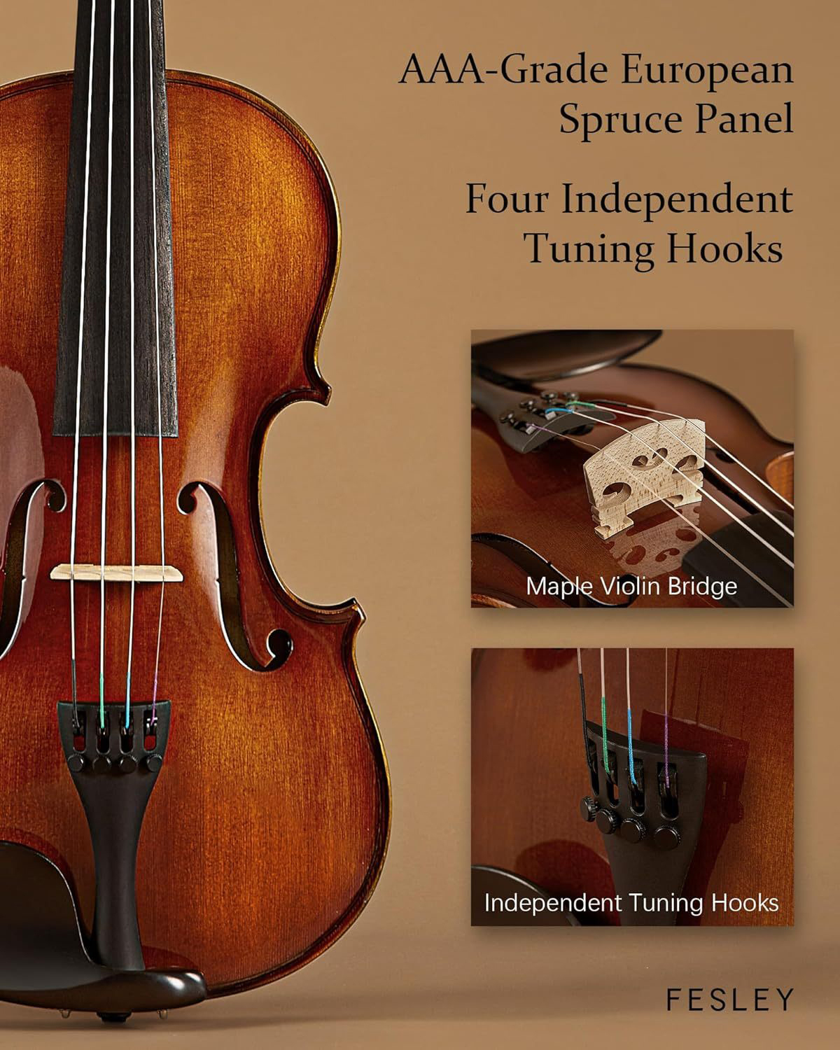 Fesley Violin 4/4 Full Set