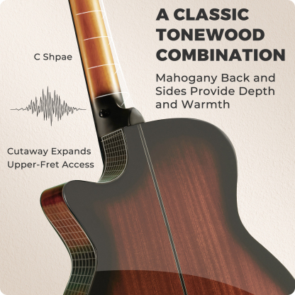 Fesley FF60 Acoustic Guitar Kit